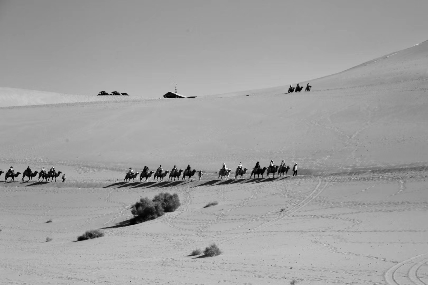 Open desert landscape