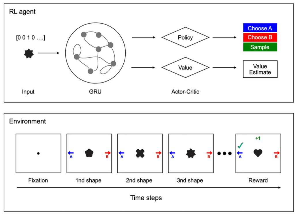 Optimal Stopping Rule in Sequential Sampling for Decision-making
